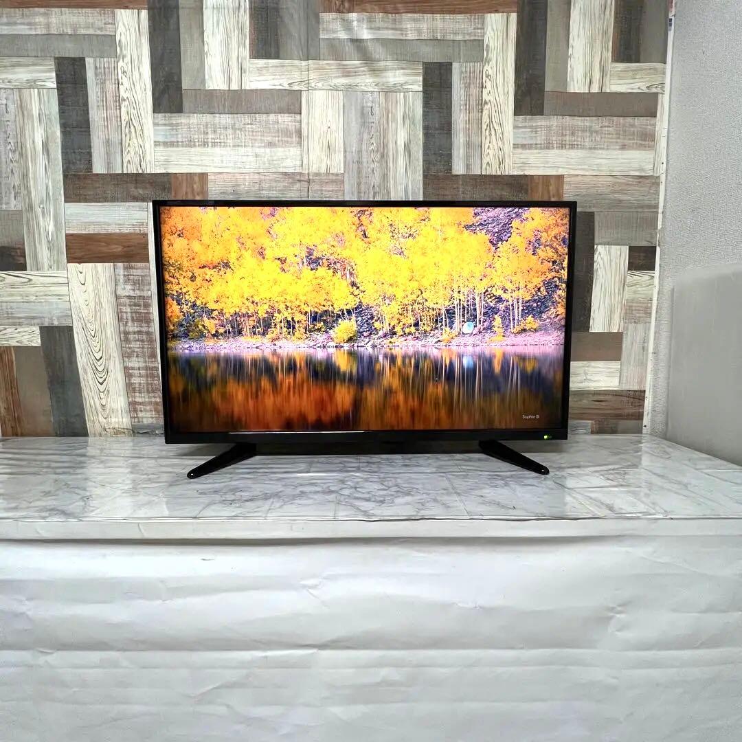 りんごさん専用全国送料込ティーズネット40型液晶地デジBS CSテレビ