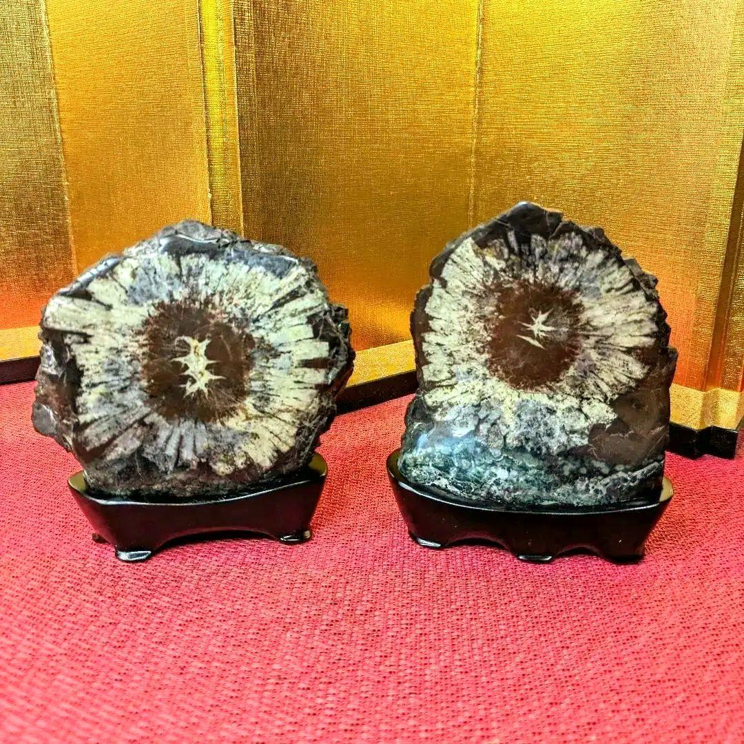 菊花石 岐阜県根尾谷産 双子２石セット 鑑賞石 観賞石 水石 盆石 天然石 菊花石 岐阜県根尾谷産2.0㌔ 鑑賞石 観賞石 水石 盆石 天然石 置物