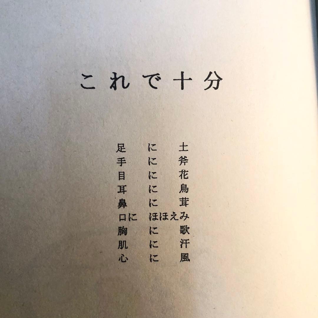 【絶版・希少】ココペリ　ななおさかき
