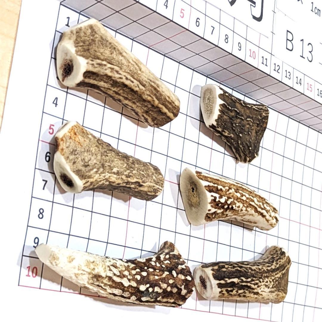 鹿の角 B13- 6本セット 約100g 鹿角 鹿ツノ しかつの - メルカリ