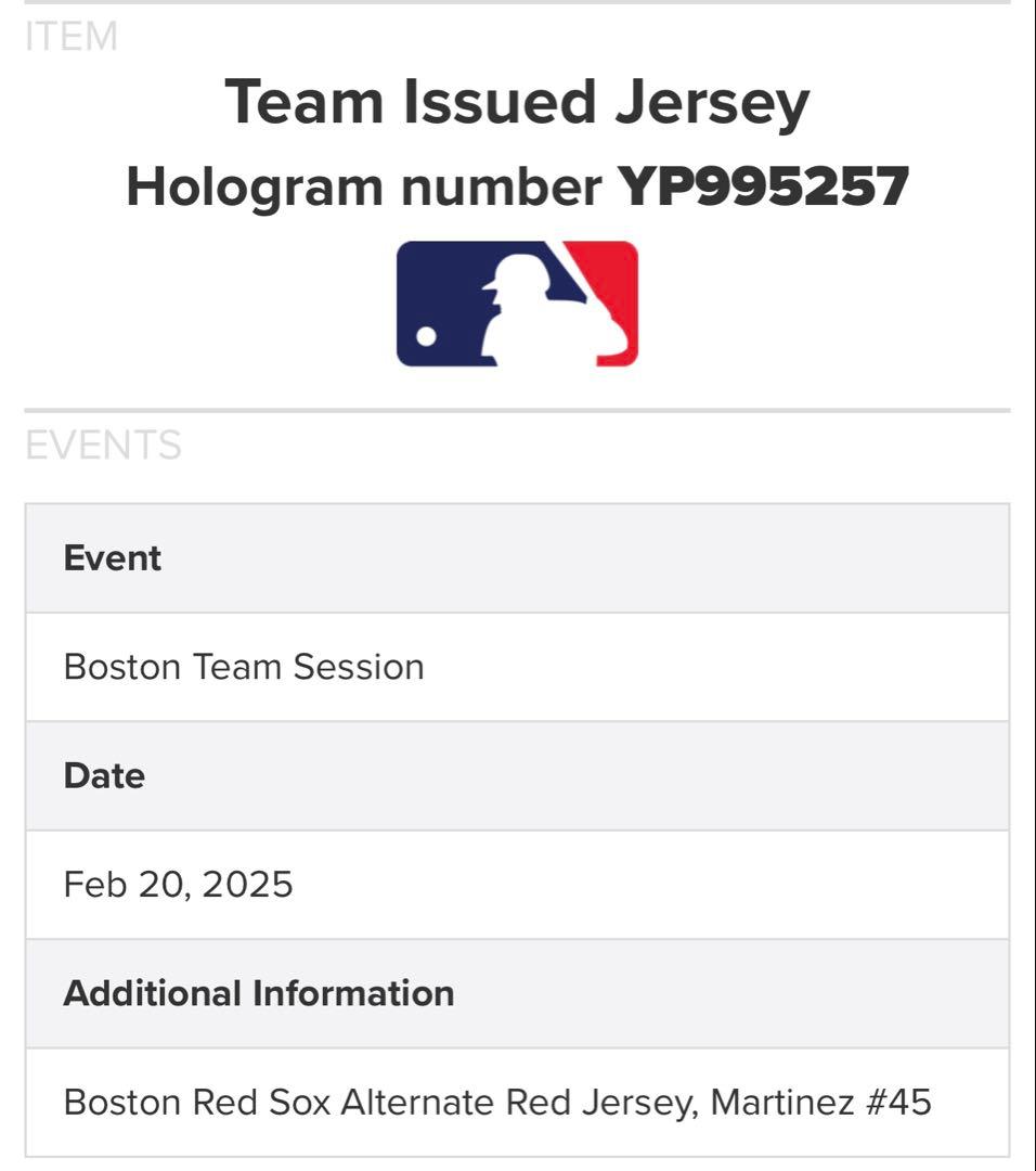 Pedro Martinez Team Issued MLBジャージ 激レア！ - メルカリ