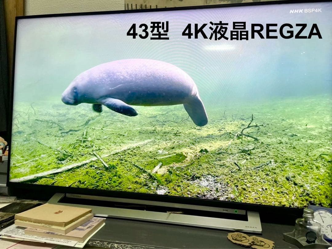 TOSHIBA 43M540X 4K液晶テレビ 東芝 高画質 REGZA 43型 TOSHIBA（東芝） REGZA 液晶テレビ レグザ 43M540X [43V型/外付けHDD