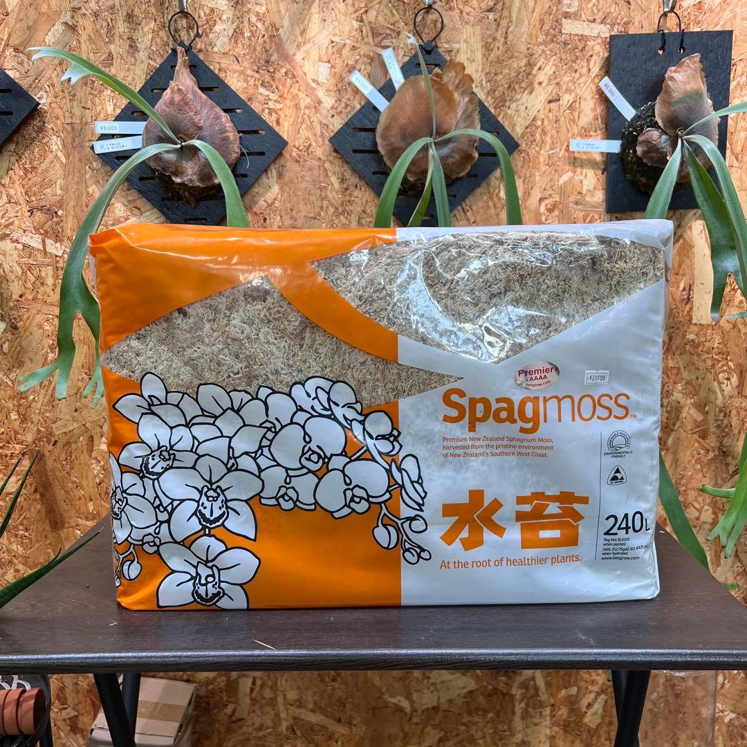 ニュージーランド産　水苔(4A) ニュージーランド産水苔 4A 3kg入り : 万年青・庄おもと園 - 通販