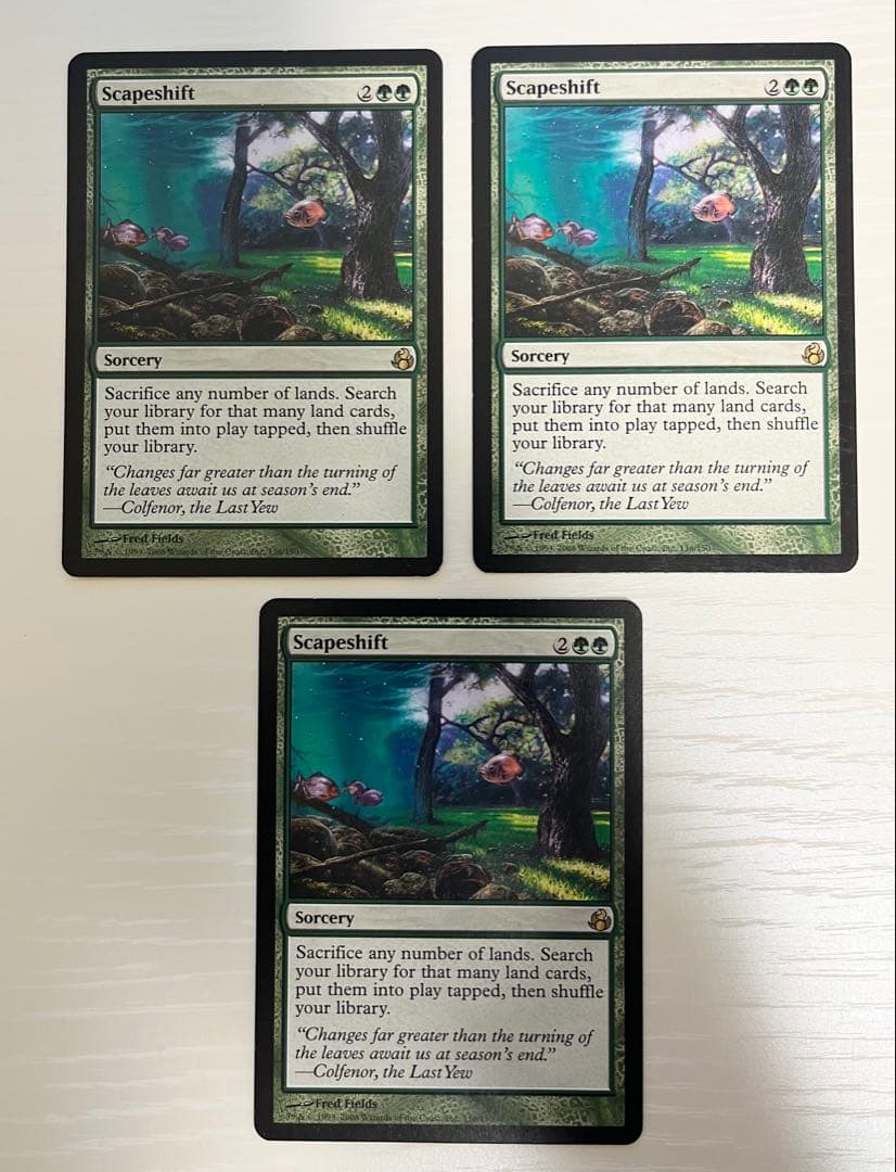 MTG 風景の変容 英語 3枚セット 風景の変容 3枚セット 英語 MTG 風景の変容 英語 3枚セット MTG 風景の