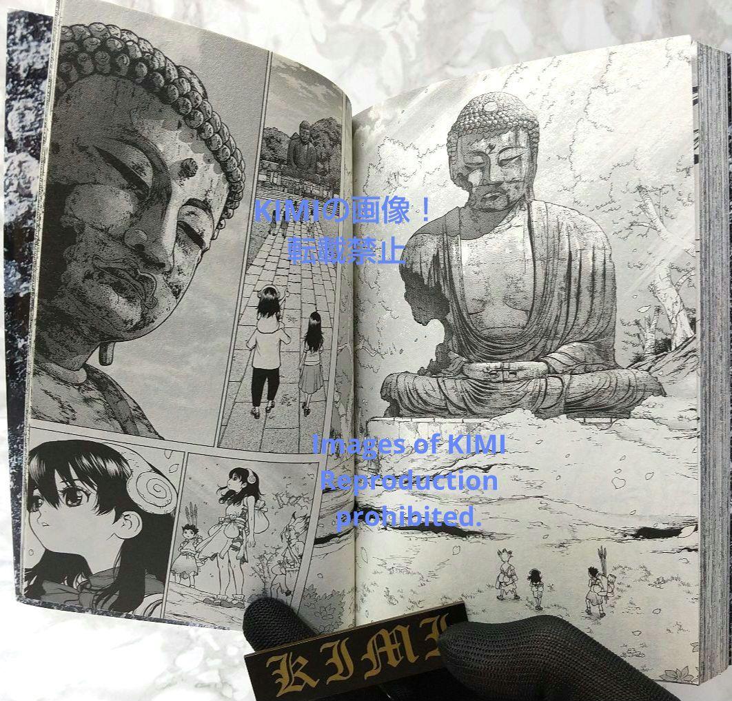 希少 初版 Dr.STONE 1 コミック 2017 Boichi,稲垣 理一郎 - メルカリ