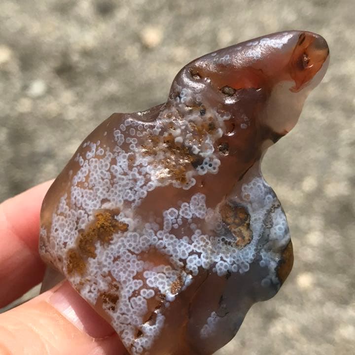 ゴビ石−936 ゴビ瑪瑙　花眼　原石 ゴビ瑪瑙 原石 ゴビアゲート 天眼 鉱物 16 0g S977｜Yahoo!フリマ（旧