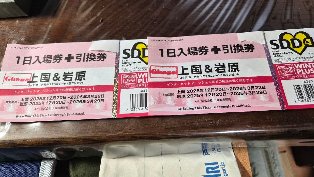 上国＆岩原 1日入場券＋引換券 2枚 - メルカリ