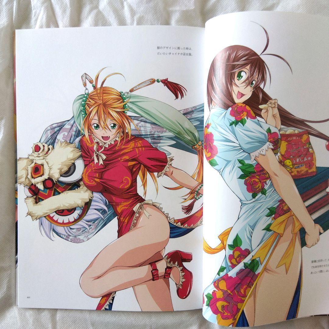 匿名配送】一騎当千 Master Works 塩崎雄二 画集 設定資料集 初版