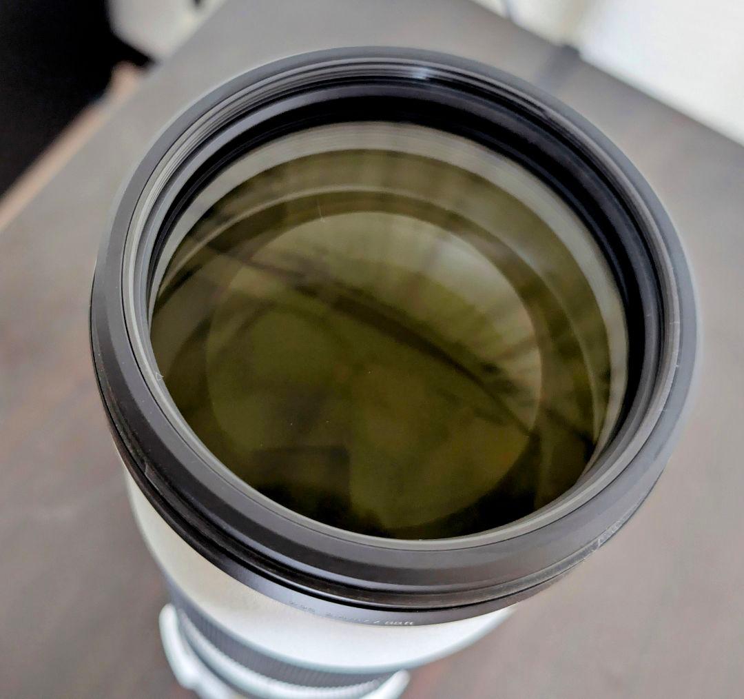 FE 200-600mm F5.6-6.3 G OSS レンズフィルター付き