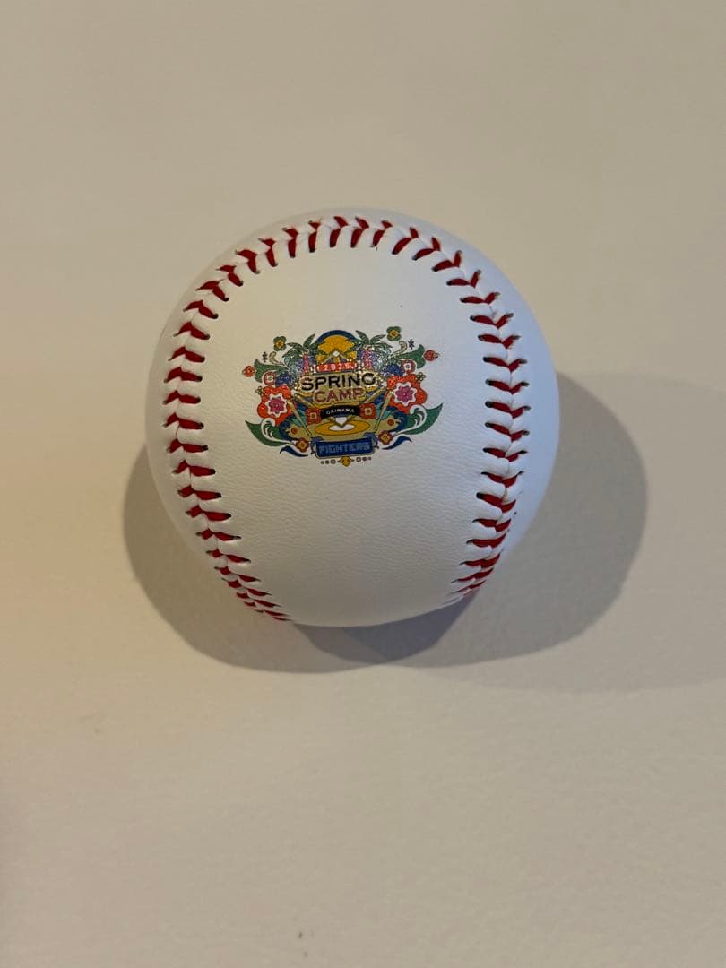 北海道日本ハムファイターズ名護キャンプ球 達孝太選手直筆サインロゴ