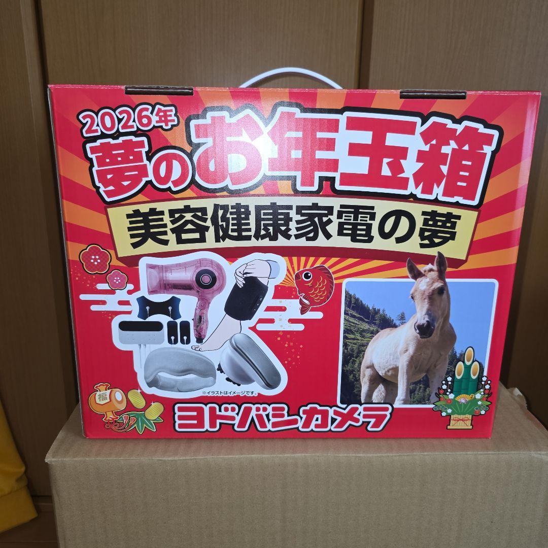 ヨドバシカメラ 美容健康家電の夢 2026 抜き取りあり ドライヤー