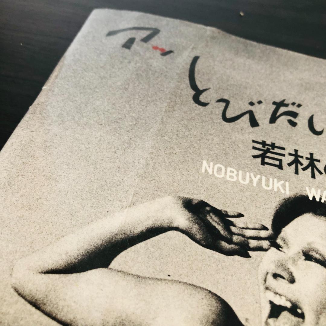 若林のぶゆき 写真集 セット アッ とびだした女たち アダムとイヴ