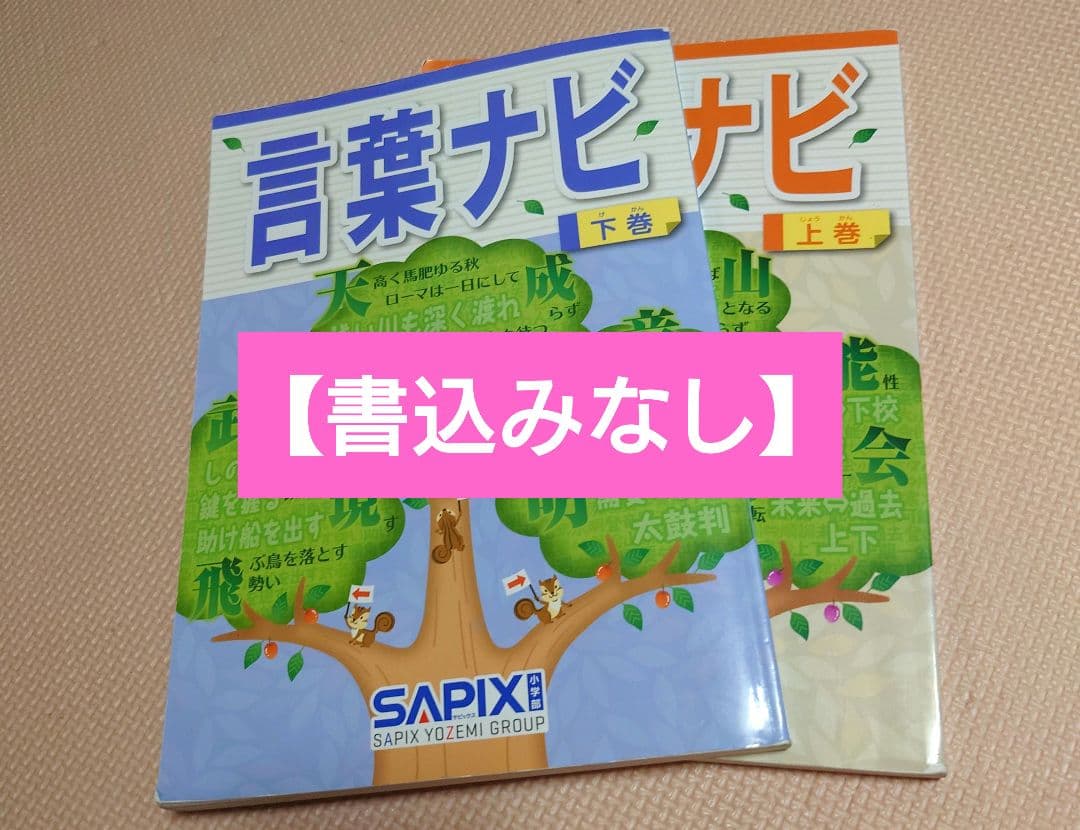 言葉ナビ 上巻・下巻 セット サピックス - メルカリ