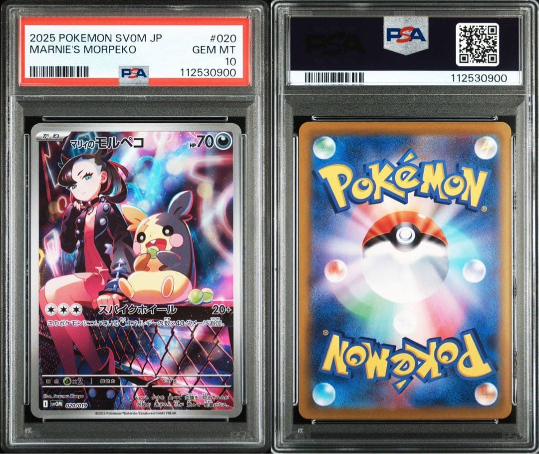 ⭐️【PSA10】マリィのモルペコ スターターセットex ポケモンカード