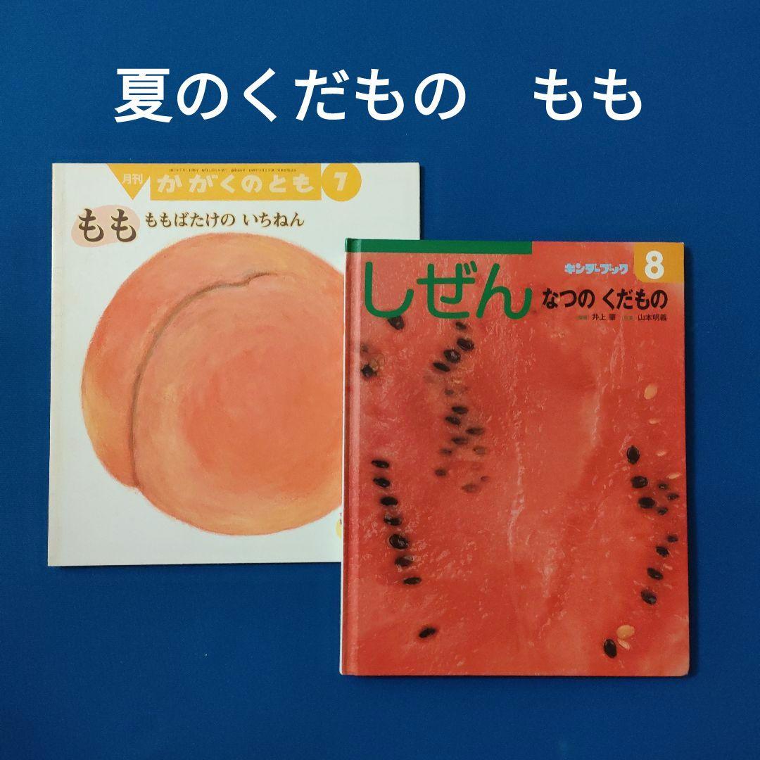 キンダーブックしぜん かがくのとも 夏のくだもの もも 福音館