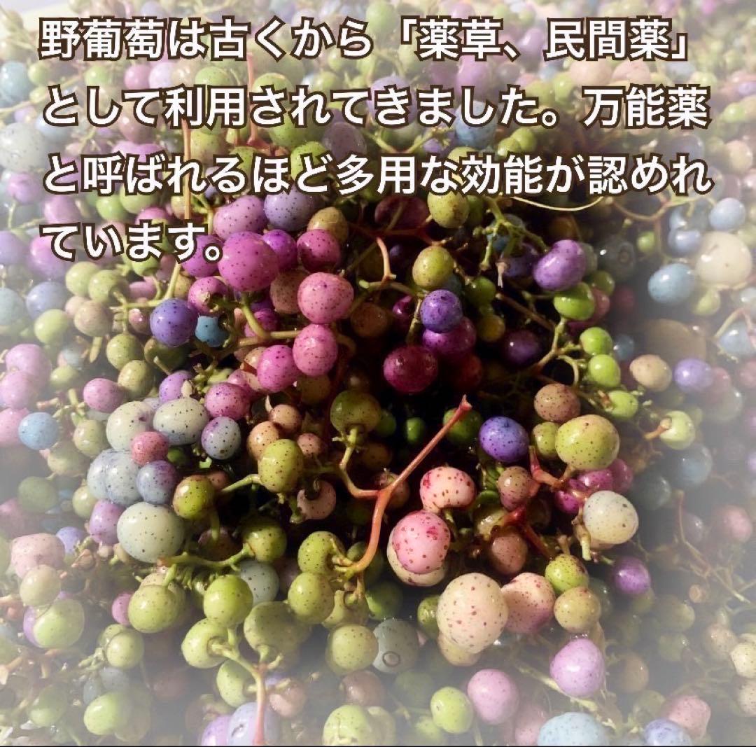 大容量】馬ぶどう250g×12袋 1年分3kg うまぶどう 薬膳 民間療法 - メルカリ