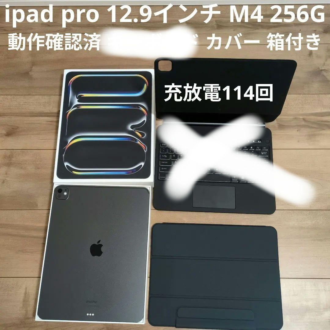 Apple iPad Pro (M4) 13インチ 256GB スペースグレー アップル 13インチ iPad Pro Apple M4 9コアCPU 10コアGPU 13型 Wi-Fi