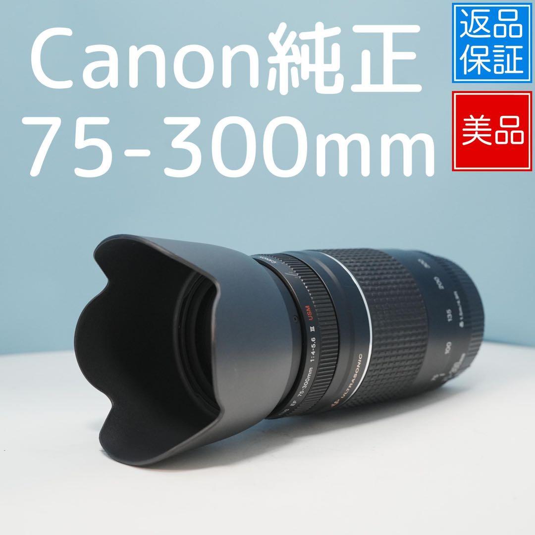 Canon純正 75-300mm 望遠レンズ 美品 a4690 キヤノン（Canon） Canon EF 75-300mm f/4-5.6 III 美品 EFマウント