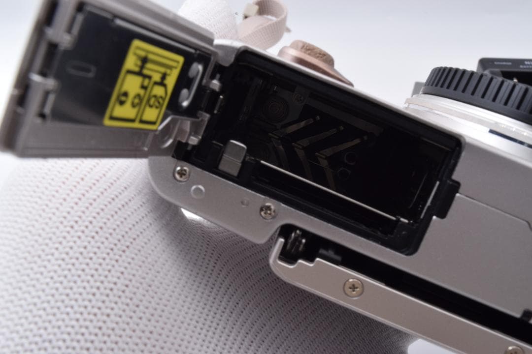 51a ショット数230 美品 オリンパス PEN E-PL8 ボディ 充電器