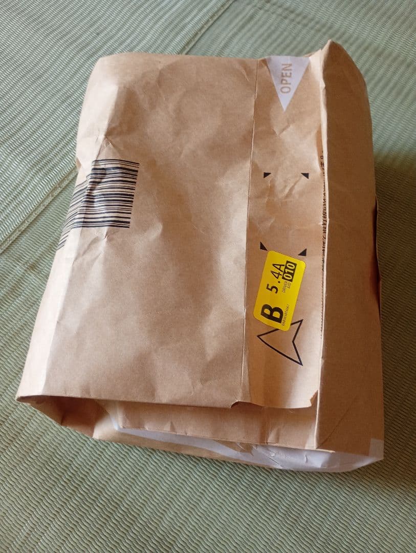 【END】ASICS GLIDE NOVA FF 3 25.5cm