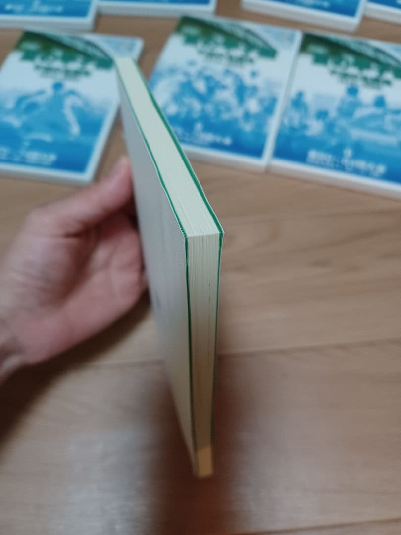 DVDBOX 夏の甲子園・不滅の名勝負1915▶2002　DVD10枚 記録集