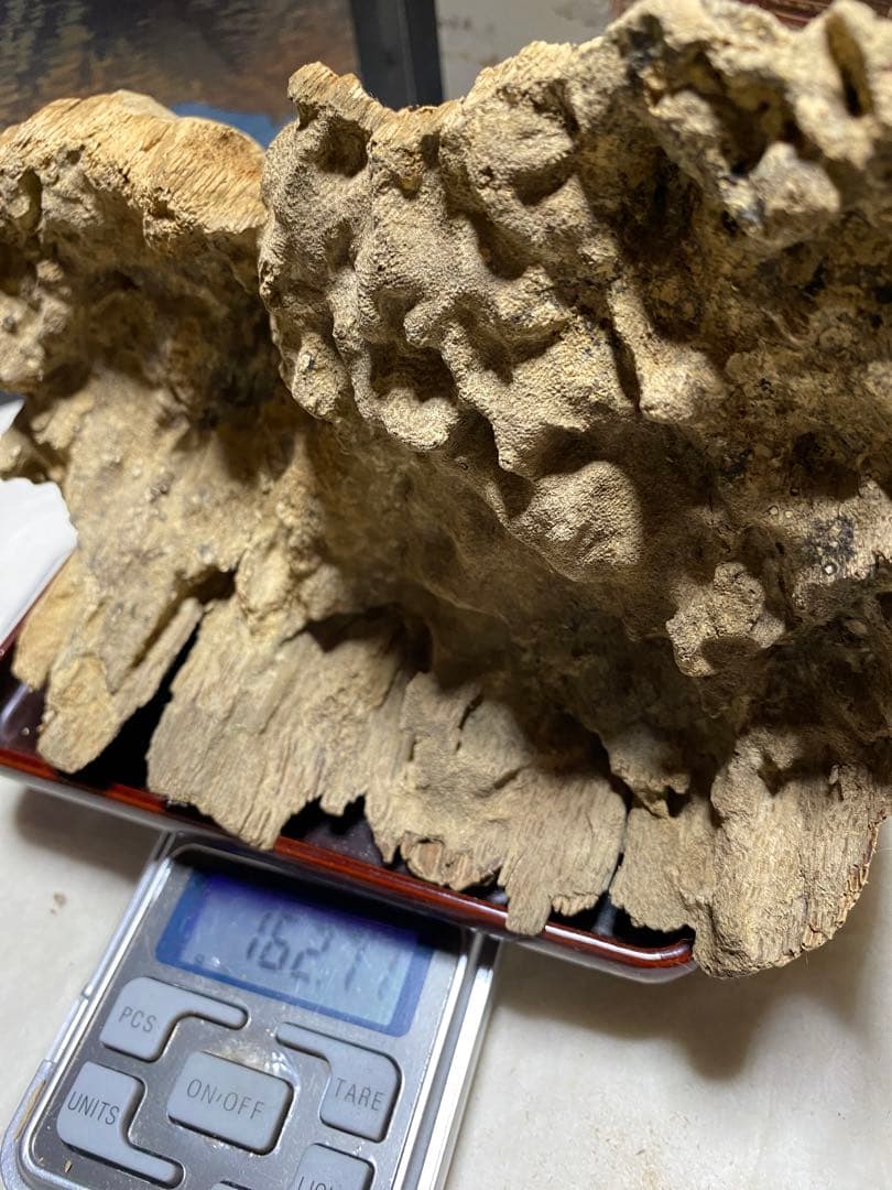 ベトナム産天然香木 希少良香馬蹄泥沈香162.7g 香道聞香用六国