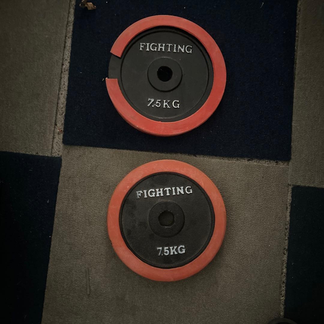 Figthing 7.5キロ✖️2 Reaction Tackle Tungsten Flipping Weights