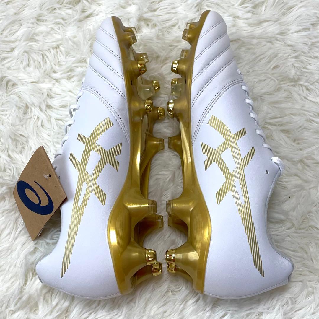 新品 アシックス 27.5cm DS ライト X-FLY PRO ST 限定色