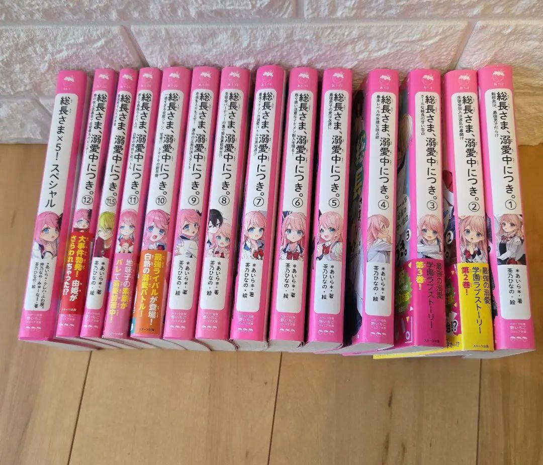 総長さま、溺愛中につき 小説14冊セット - メルカリ