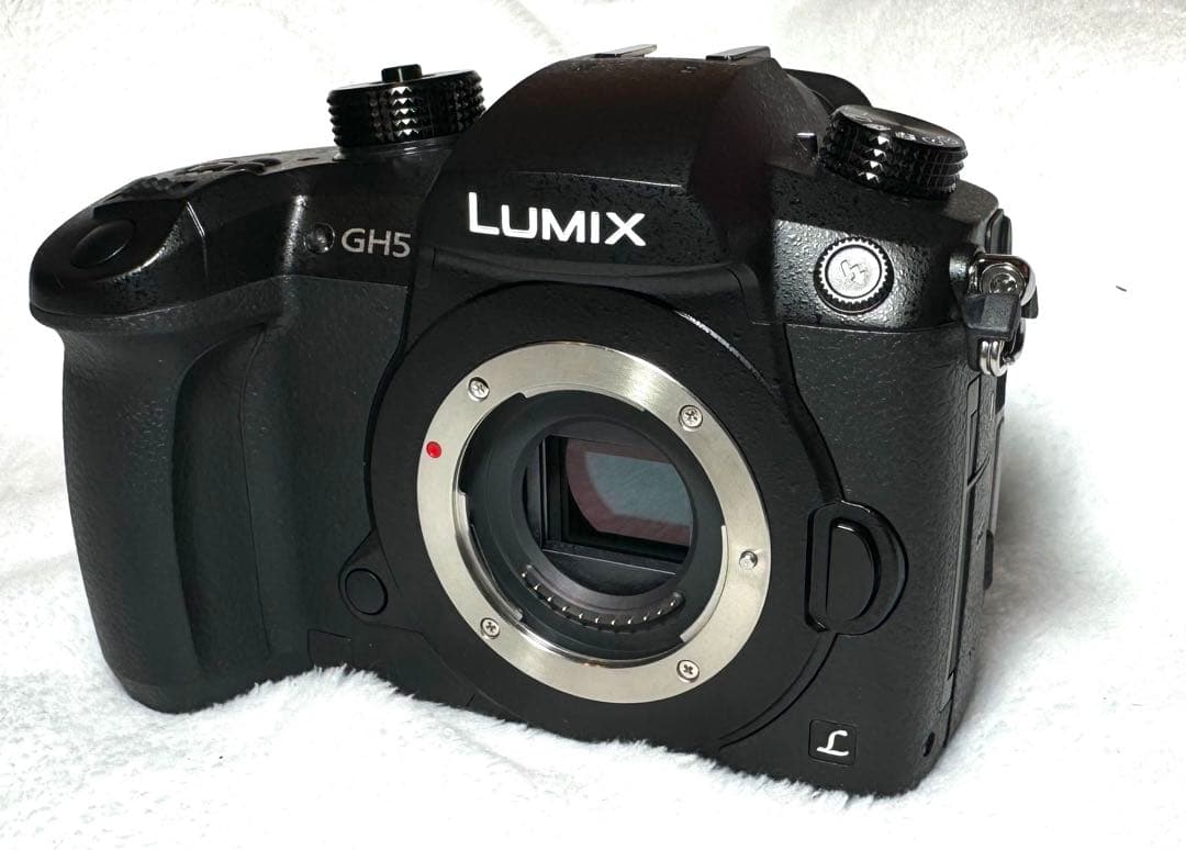 Panasonic LUMIX GH5 （動作未確認）#06990 - メルカリ