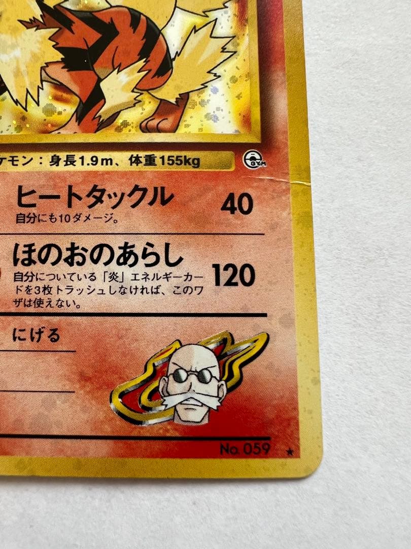 OneMall provides Mercari products: カツラのウインディ ☆ ジム拡張