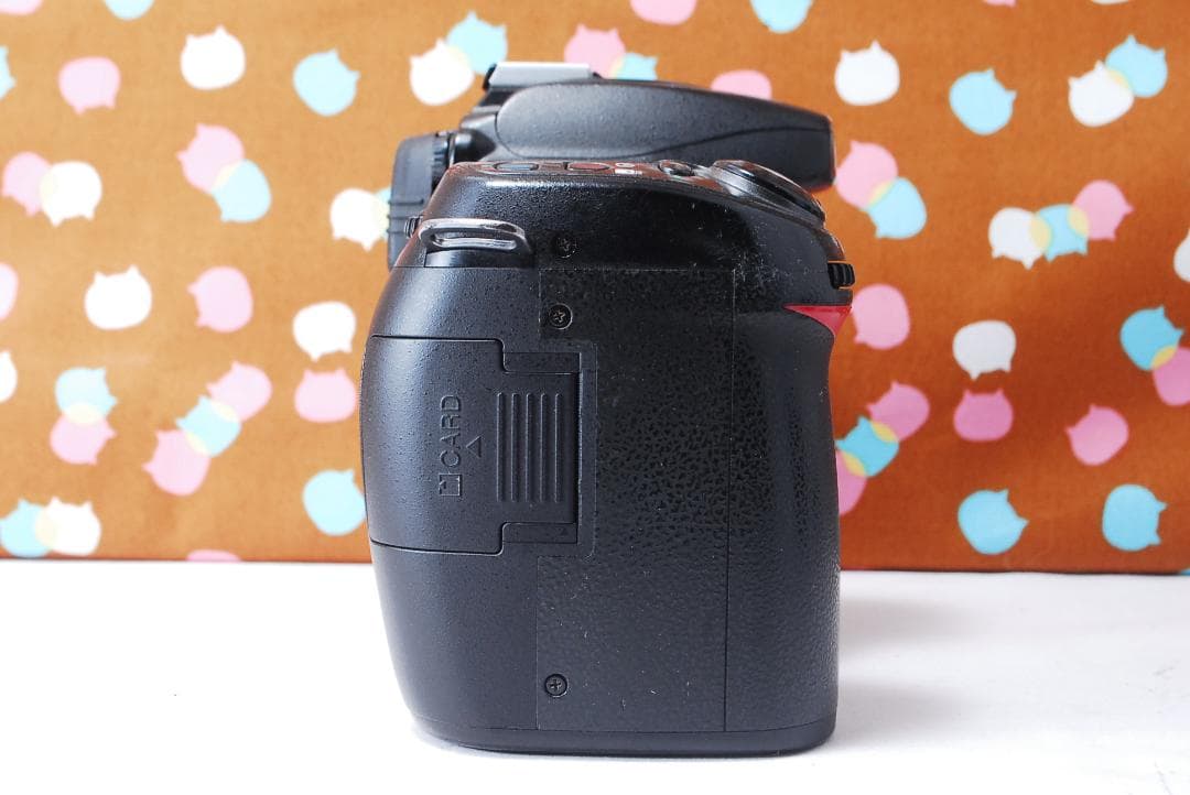 ✨初心者オススメ✨届いてすぐ使える✨Nikon D80 レンズセット