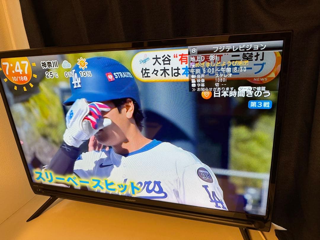 コトリさま専用、TV