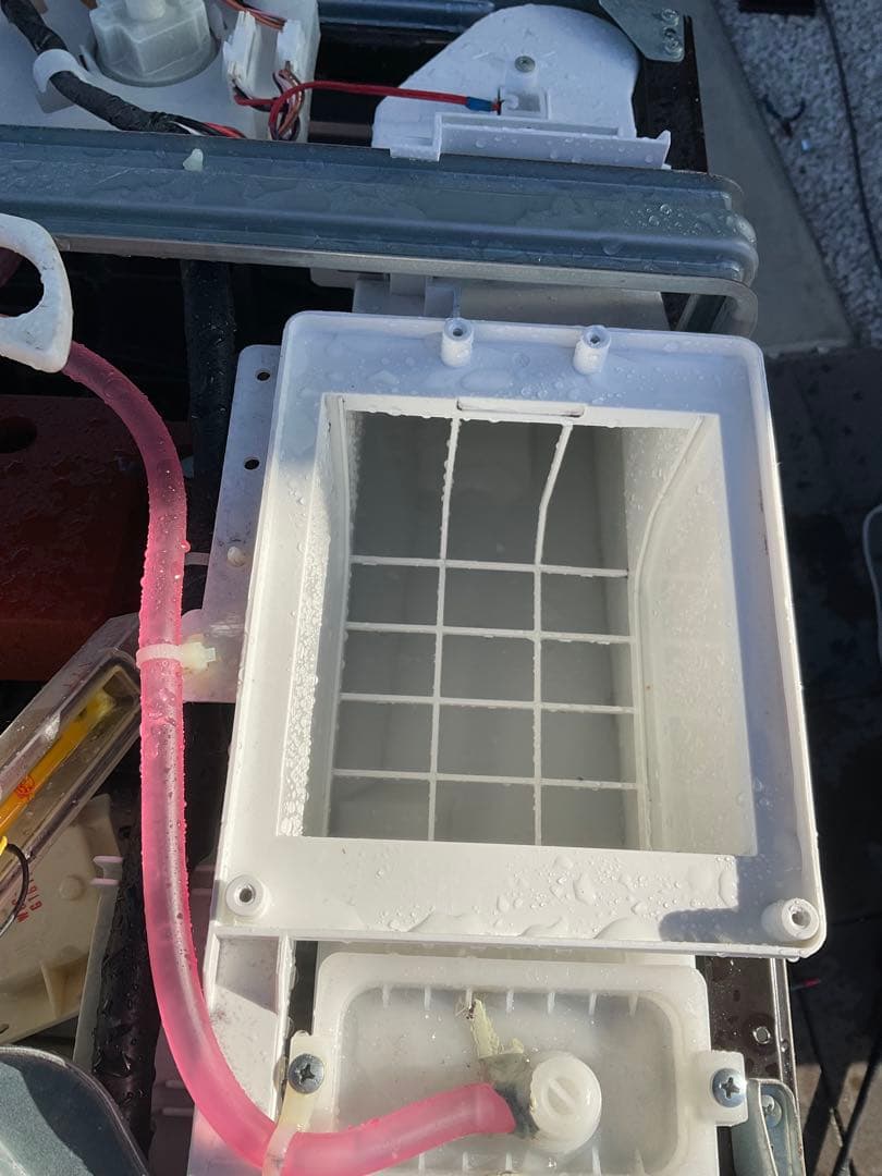 分解洗浄済み】東芝ドラム式洗濯乾燥機 2022年8月購入(動作確認済み