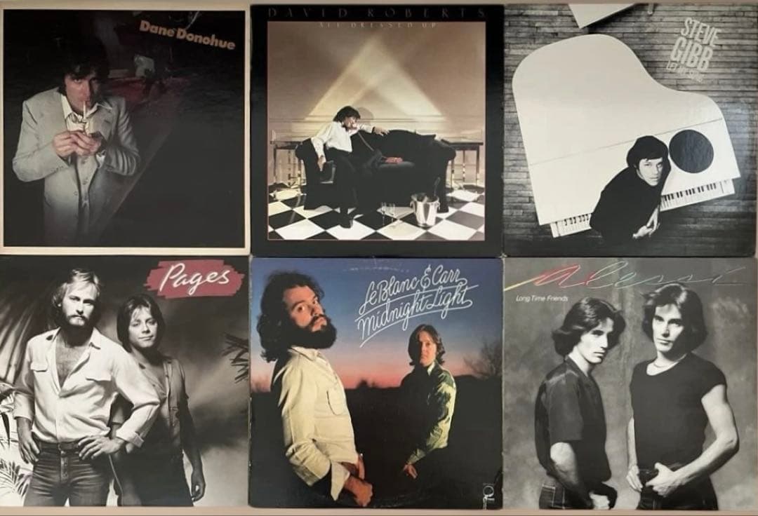 AOR LP6枚 ディンドナヒュー デビッドロバーツ ペイジス スティーブギブ他 □HR☆HM□DiskHeaven□