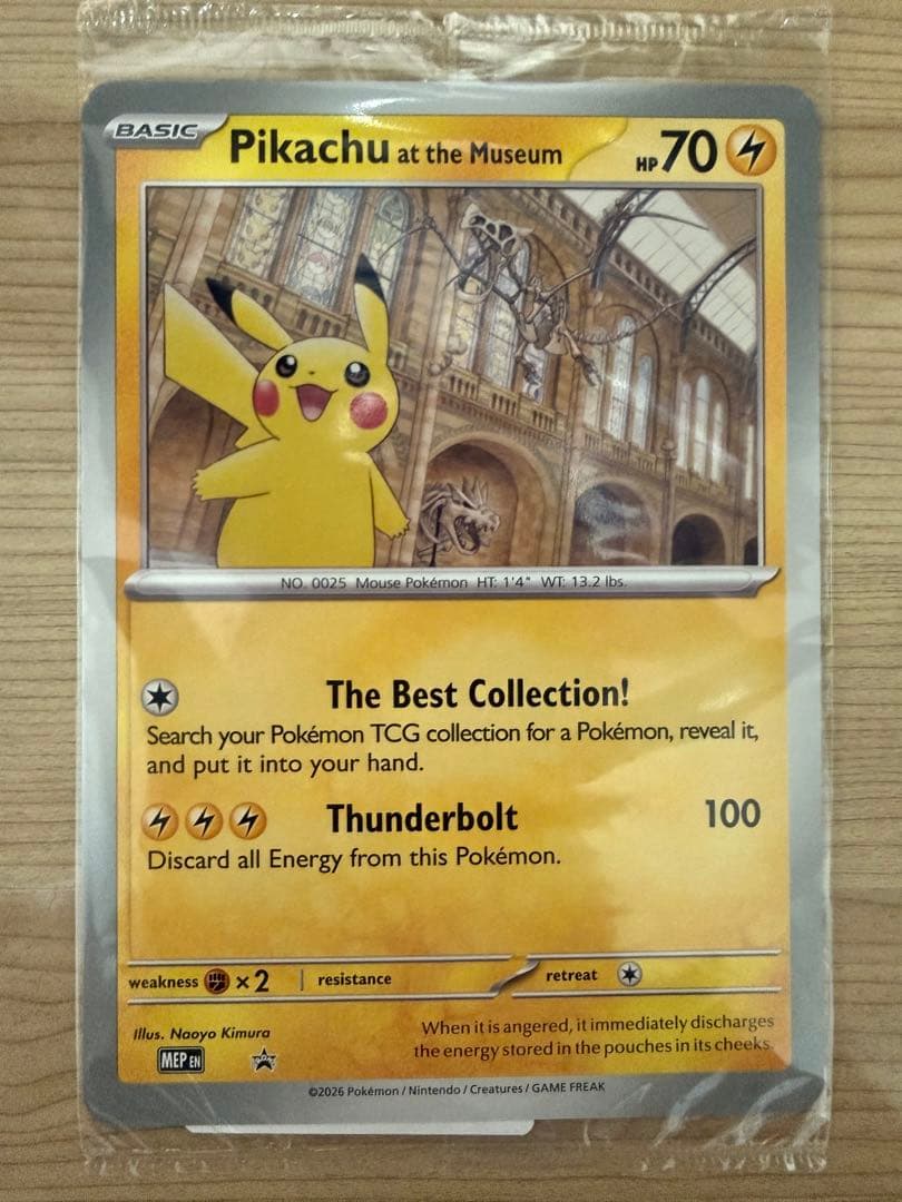 Pikachu at the Museum ピカチュウ ロンドン自然史博物館 - メルカリ