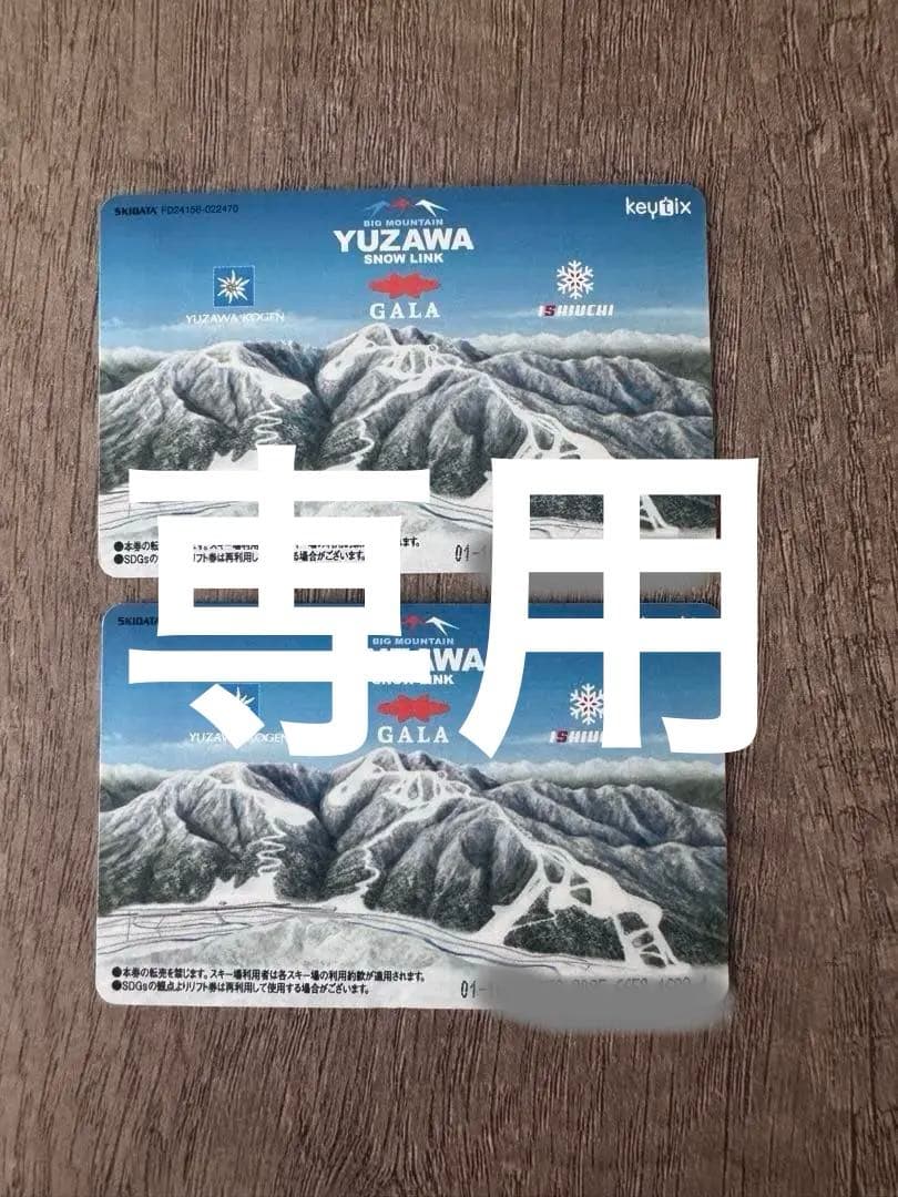 石打丸山 スキー場 リフト券2枚セット 湯沢 - メルカリ