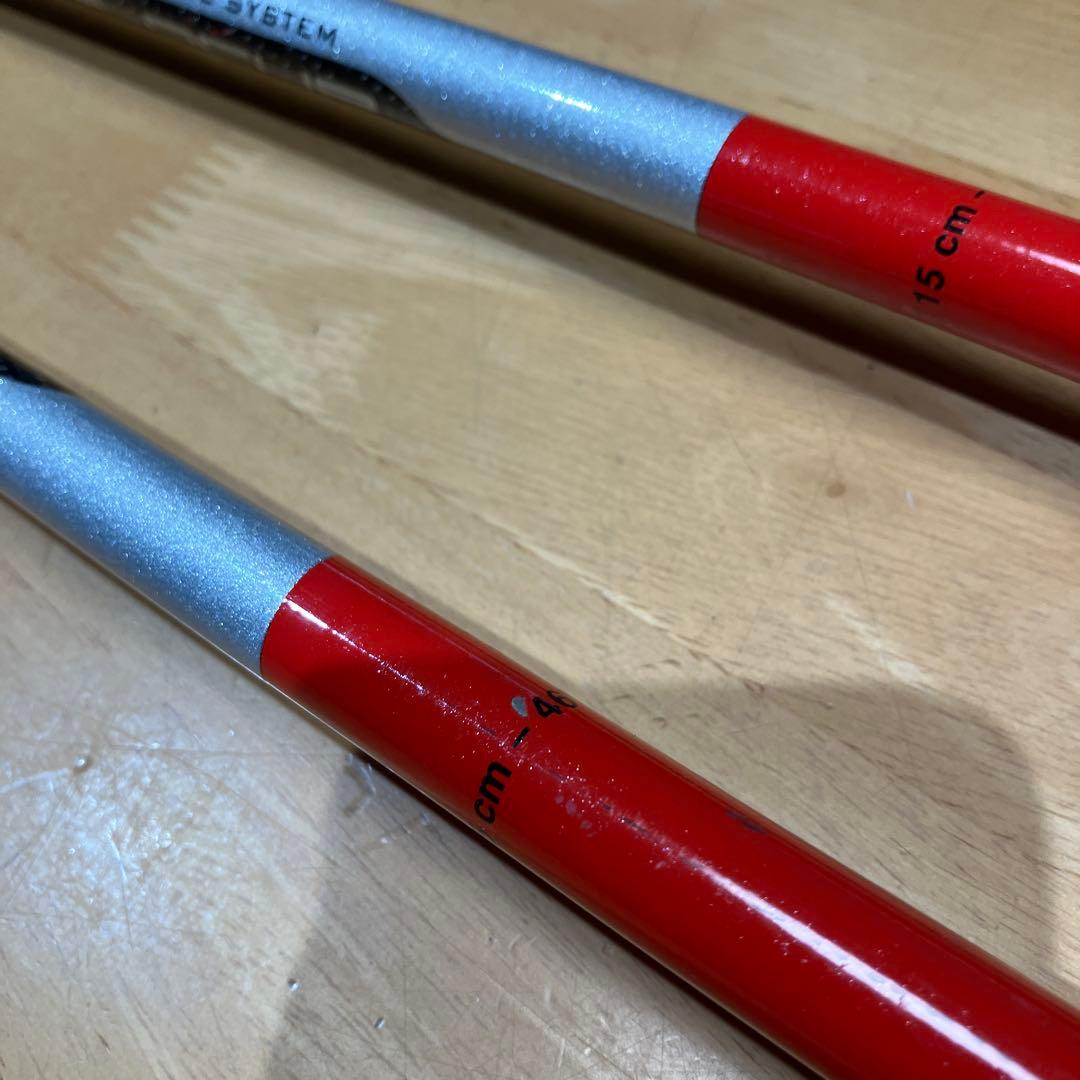 LEKI ストックSLパンチガード 115cm - LEKI レキ WORLD CUP