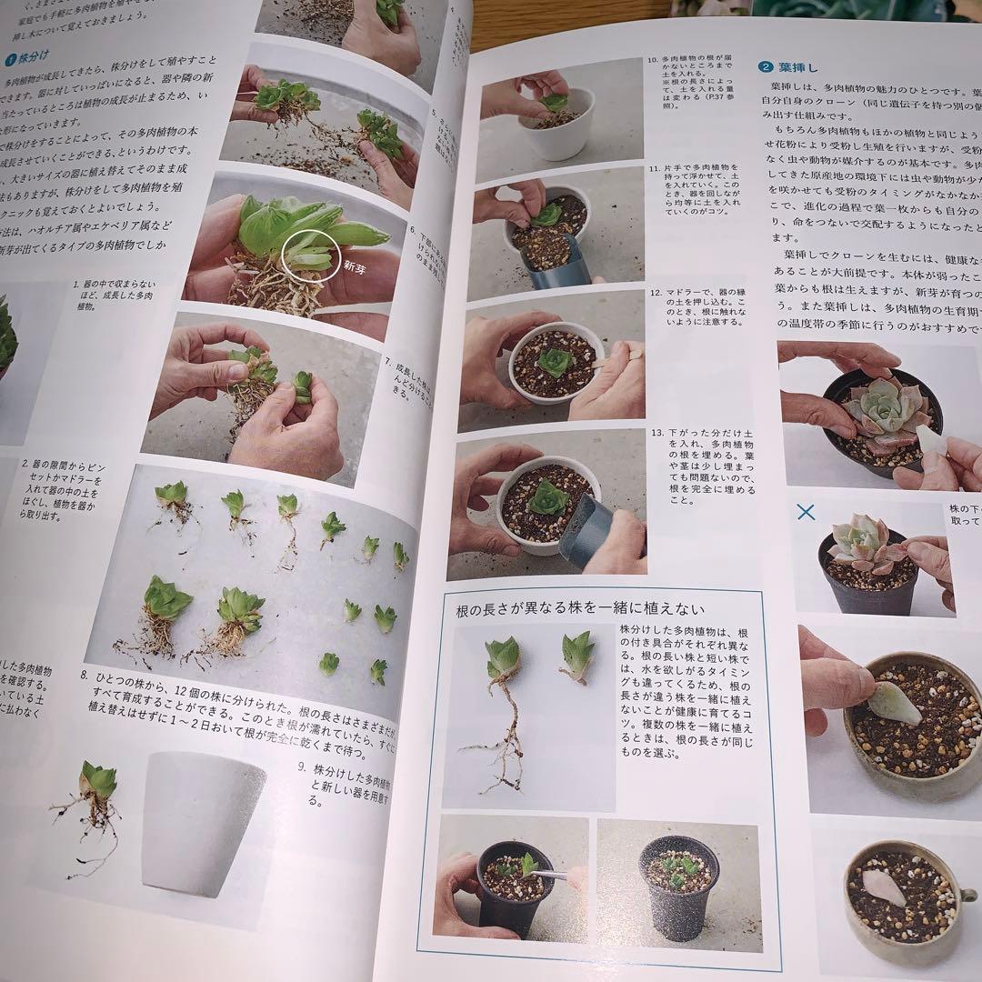 日本園芸協会 植物雑貨クリエイティブ 1-4 + CDセット - メルカリ