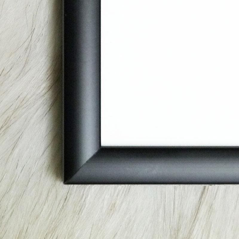 額装済/Attempting（アニカ・エリザベス）/アートポスター - メルカリ