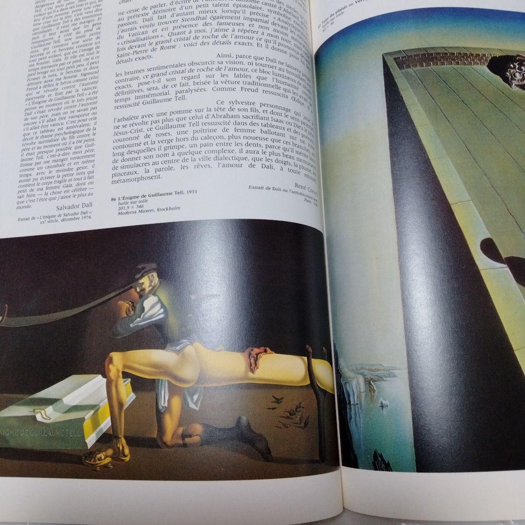 ダリ回顧展 図録 1980年 ポンピドーセンター 近代美術館 大型本 布装