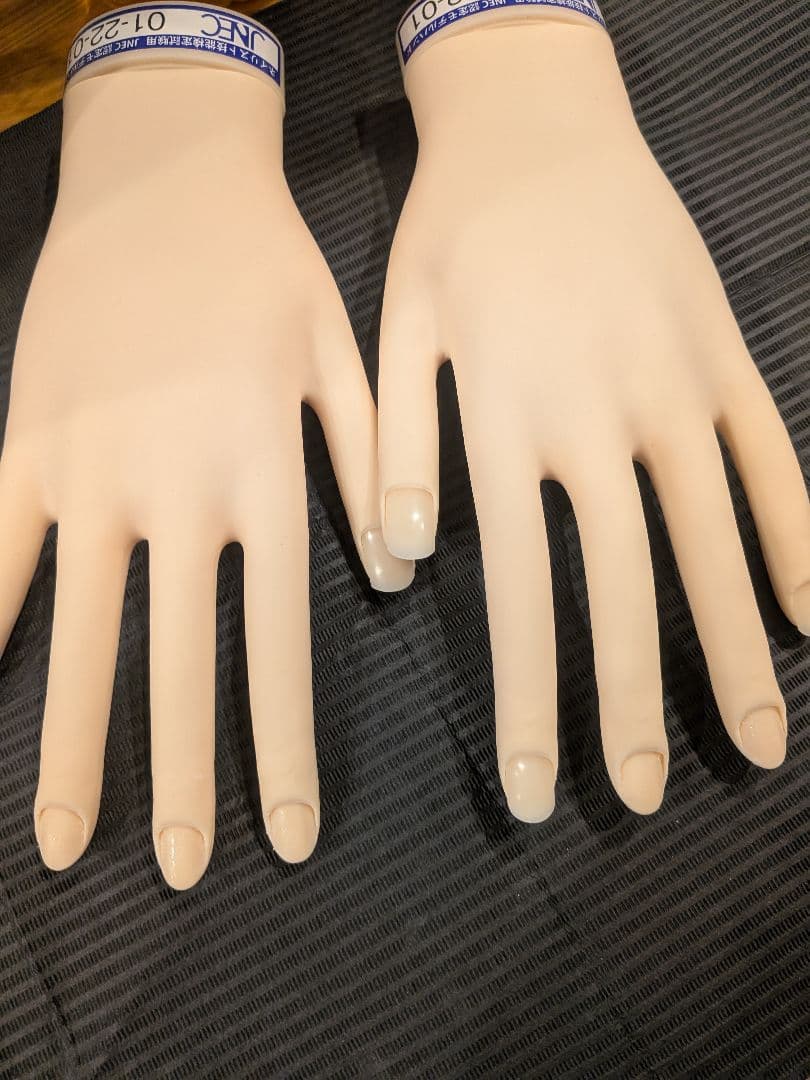 STモデルハンド ネイリスト技能検定試験用 JNEC認定モデルハンド STモデルハンド セット（JNEC 第1期認定モデルハンド）の卸・通販