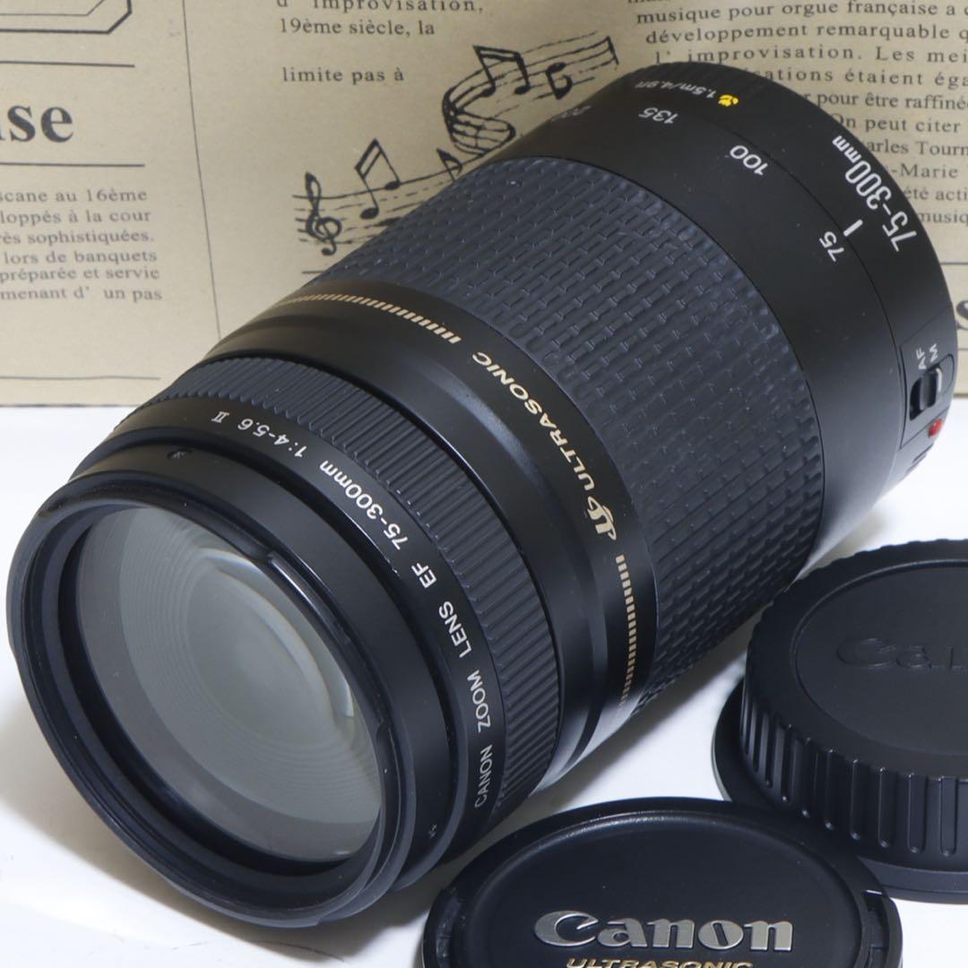 ◇超望遠&高速AF◇ Canon純正 75-300mm II型 望遠レンズ ◇ - メルカリ