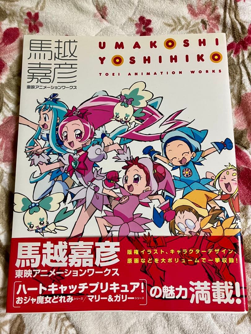 値下げ中》馬越嘉彦 東映アニメーションワークス - メルカリ