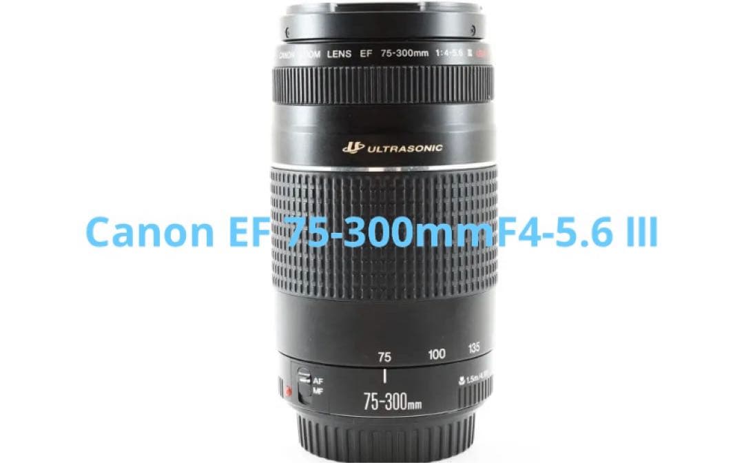 フルサイズ対応 /Canon EF 75-300mm F4-5.6 Ⅲ USM Amazon | Canon AFレンズ EF 75-300mm F4-5.6 III USM | レンズフード 通販