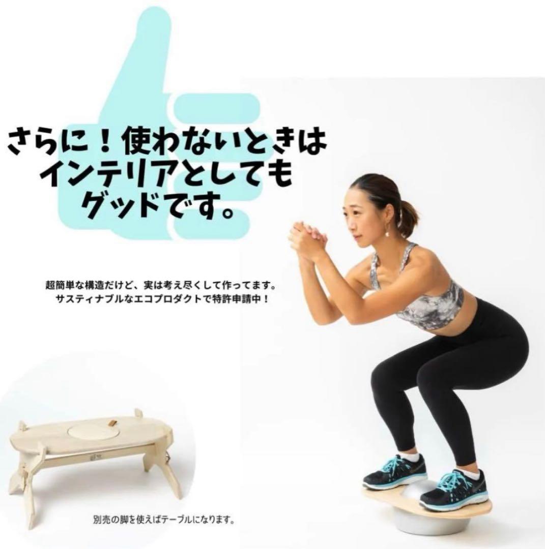 LandSup®︎ Crazy mini スペシャルセット ディスプレイスタンド付