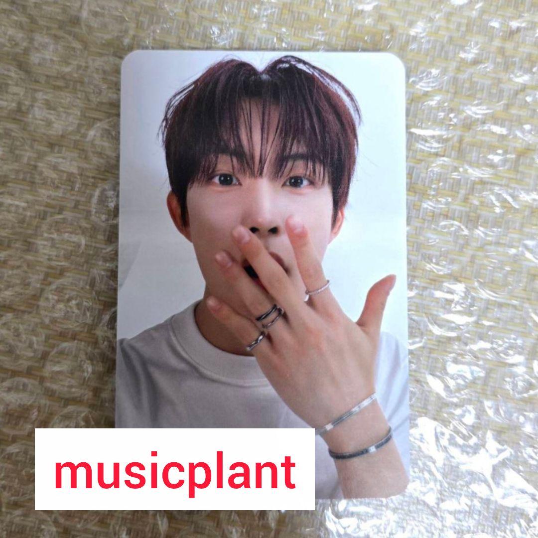 ald1 musicplant ミュープラ トレカ ゴヌ2 - メルカリ