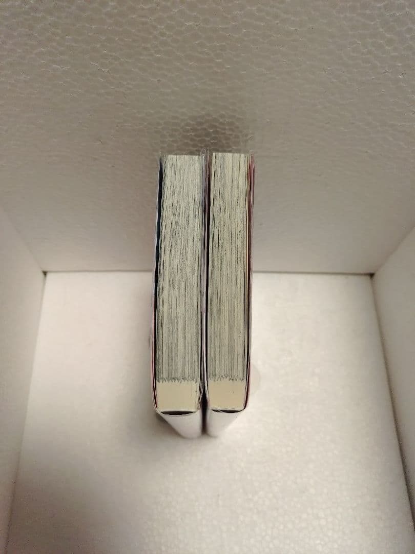 異世界コミック① 詰んでる元悪役令嬢はドS王子様から逃げ出したい 既刊全他