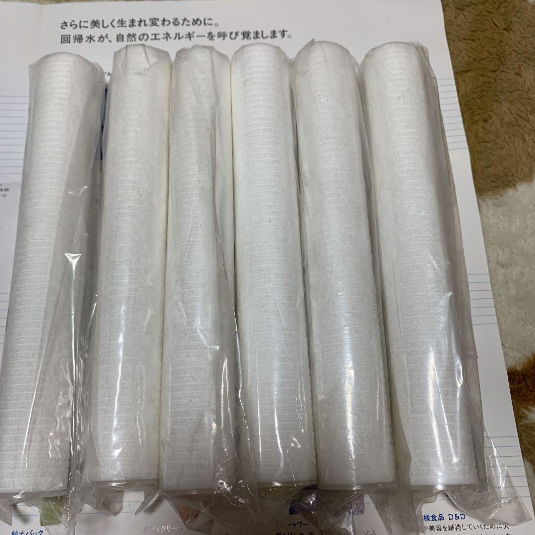 回帰水フィルター6本セット - メルカリ
