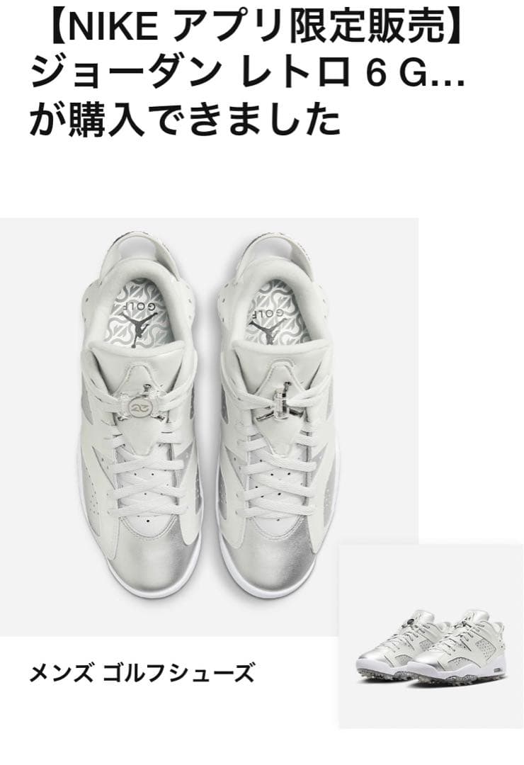 山*郎様 ジョーダン6 レトロ GOLF NRG FD6719-001 ゴルフシ - メルカリ